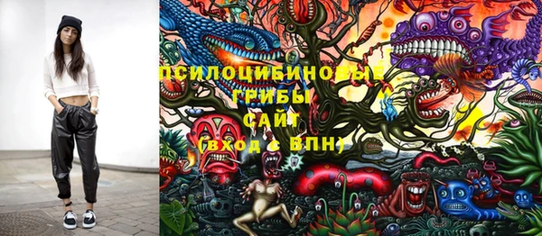 тгк Нефтекумск