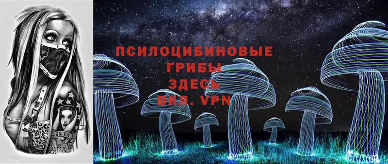 цены наркотик  Кизел  Галлюциногенные грибы Psilocybine cubensis 