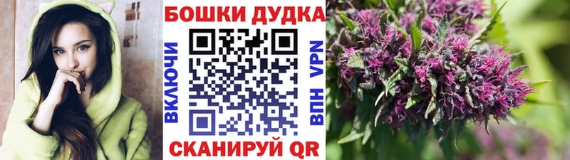 Марихуана Bruce Banner Кизел